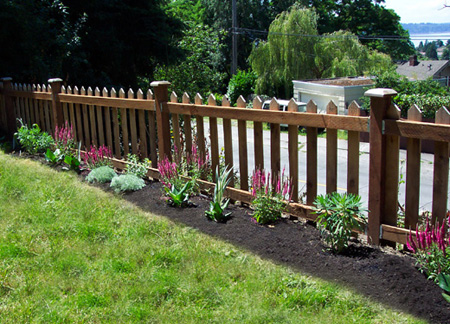 Planting Along Fence