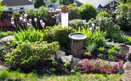 Wickermarc Birdbath Bed