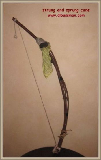 strung and sprung cane
